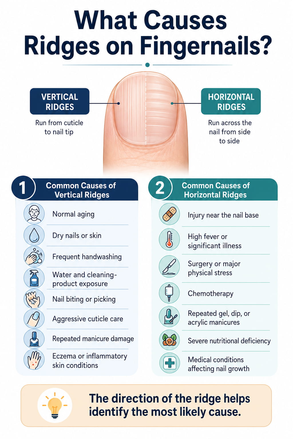 How to Get Rid of Ridges on Fingernails: Causes and Care 3 What Causes Ridges on Fingernails?